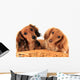 Dachshund Puppies. Wall Decal