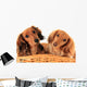 Dachshund Puppies. Wall Decal