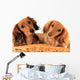 Dachshund Puppies. Wall Decal