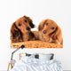Dachshund Puppies. Wall Decal