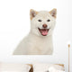 Happy Dog Wall Decal