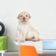 Labrador Retriever Puppy Portrait Wall Decal