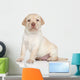 Labrador Retriever Puppy Portrait Wall Decal