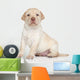 Labrador Retriever Puppy Portrait Wall Decal