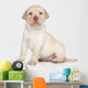 Labrador Retriever Puppy Portrait Wall Decal