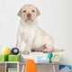 Labrador Retriever Puppy Portrait Wall Decal