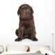 Cute Labrador Puppy Portrait Wall Decal