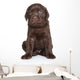 Cute Labrador Puppy Portrait Wall Decal