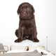 Cute Labrador Puppy Portrait Wall Decal