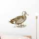 Vector Engraving Duck White Wall Decal
