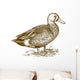 vector engraving duck on white background Wall Decal