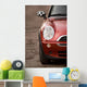 Photo of red Mini, in the nature Wall Mural