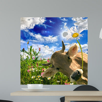 Happy Birthday Cow Gives Wall Mural shown on a wall