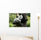 Panda Wall Mural