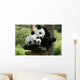 Panda Wall Mural