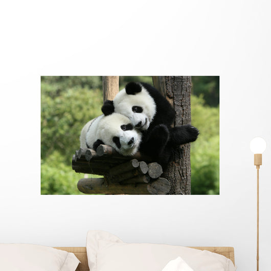 Panda Wall Mural