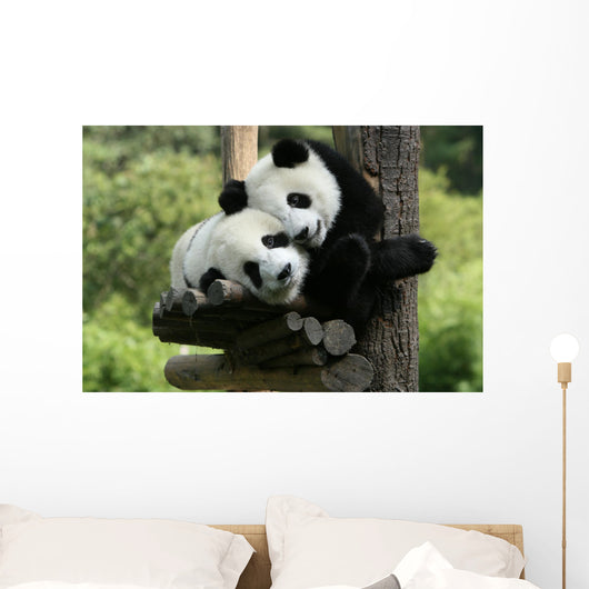 Panda Wall Mural