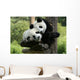 Panda Wall Mural