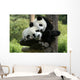 Panda Wall Mural