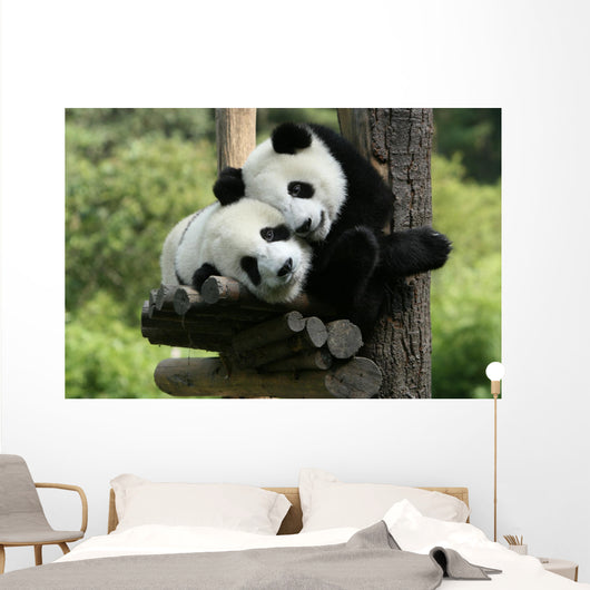Panda Wall Mural