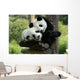 Panda Wall Mural