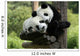Panda Wall Mural