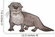 Otter Animal Cartoon Illustration Wall Decal