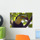 Close up of a Keel Billed Toucan Wall Mural