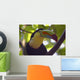 Close up of a Keel Billed Toucan Wall Mural