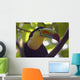 Close up of a Keel Billed Toucan Wall Mural