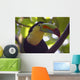 Close up of a Keel Billed Toucan Wall Mural