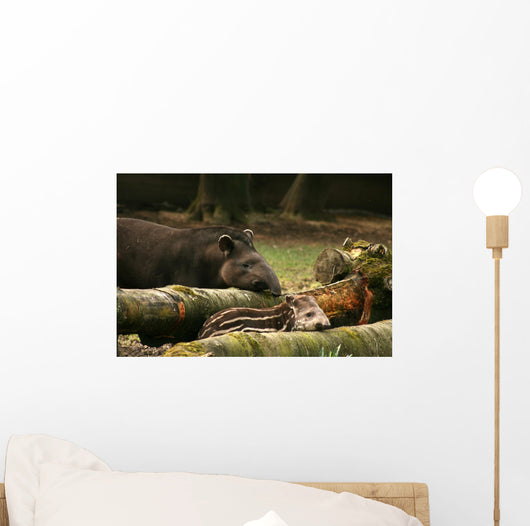 Tapir Baby With His Father Wall Mural