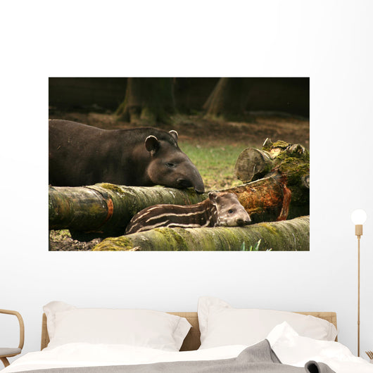Tapir Baby With His Father Wall Mural