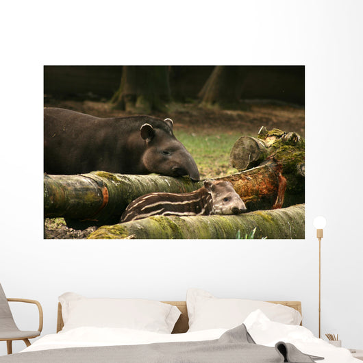 Tapir Baby With His Father Wall Mural