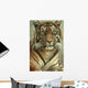 Portrait of a Sumatran Tiger Wall Mural