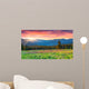 Colorful Morning Panorama Carpathian