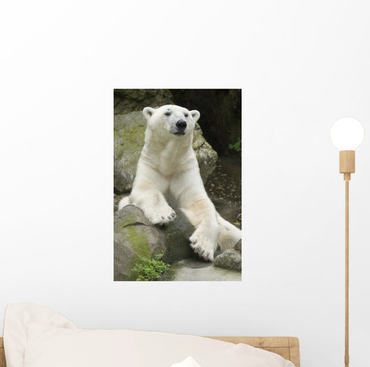 Polar Bear Portrait Wall Mural