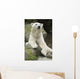 Polar Bear Portrait Wall Mural