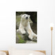 Polar Bear Portrait Wall Mural