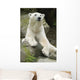 Polar Bear Portrait Wall Mural