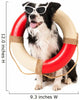 Border Collie as Beach Guard Wall Decal