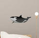 Killer Whale