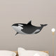 Killer Whale