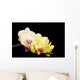Yellow Orchid Black