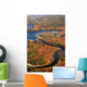 Aerial Fall Forest and River New Wall Decal