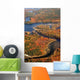 Aerial Fall Forest and River New Wall Decal