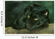 Black Leopard Resting Wall Mural