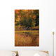 Aerial Fall Forest New Wall Decal