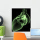 heart x-ray Wall Mural
