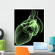 heart x-ray Wall Mural